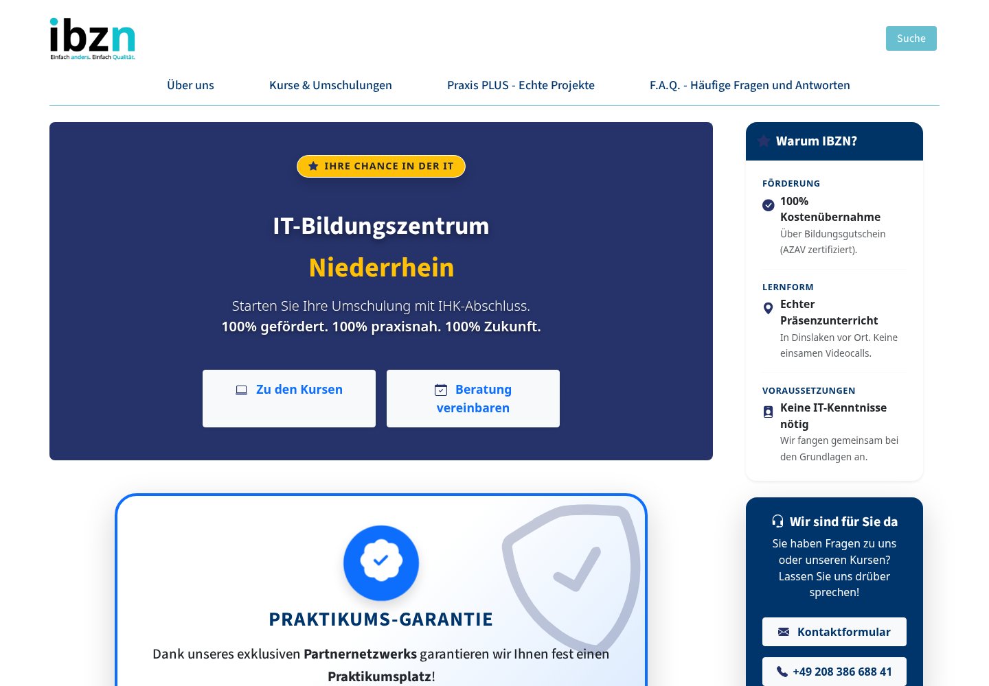 Einblick in die Website ibzn.de